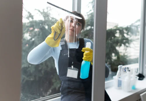 Nettoyage de vitres intérieures et extérieures à Grospierres
